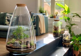 Ecosysteem/ terrarium workshop 28 januari