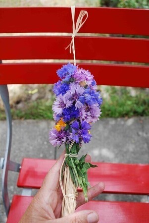 Lezing en workshop Romeinse bloemenkransen fotocredits Stichting Mooi Matilo