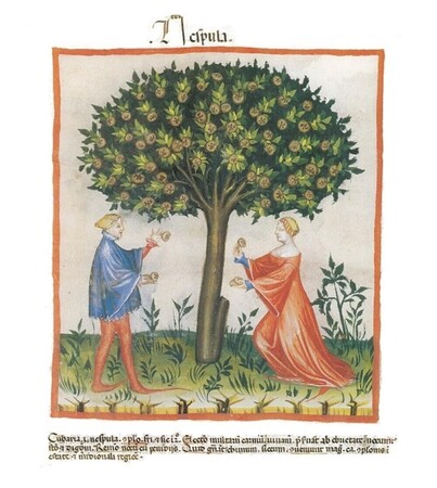 Herfstige wildplukwandeling