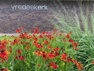 Perkplantenmarkt bij de Vredeskerk