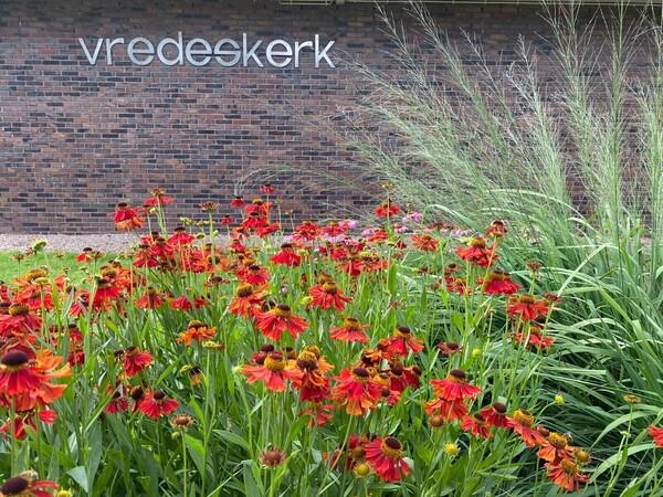 Perkplantenmarkt bij de Vredeskerk