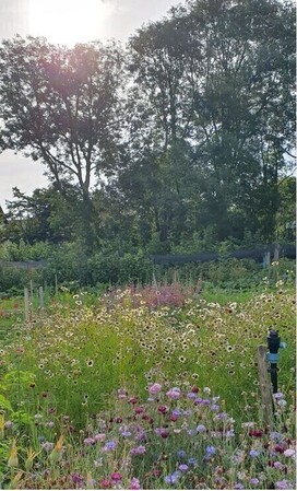 Het Zoete Land: viert 10-jarig jubileum / celebrates its 10th anniversary