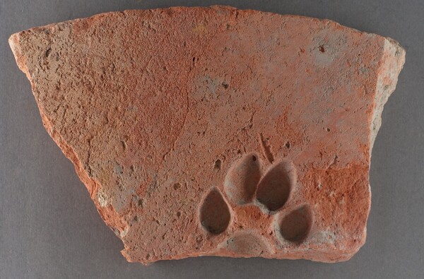 Cave Canem - pas op voor de hond! / Watch out for the dog!