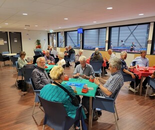 Scylla Bridge zoekt nieuwe leden! / Scylla Bridge is looking for new members!