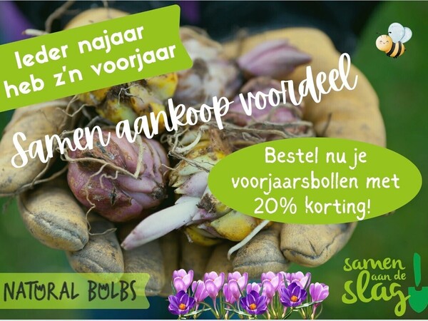 Voorjaarsbollen met korting! / Spring bulbs at a discount!