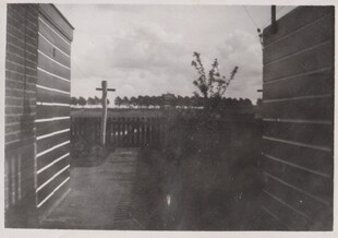 Fotocollectie Familie Labordus / Labordus Family Photo Collection