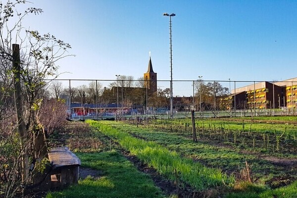 Plan vernieuwing buurtpark Cronesteinkade richting raad / Cronesteinkade Neighborhood Park Renovation Plan Presented to Council