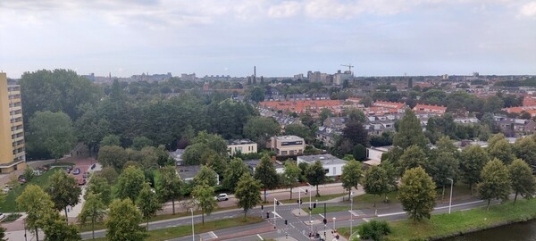 Afronding herinrichting Professorenwijk / Professorenwijk Redevelopment Completed