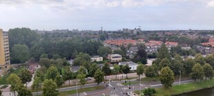 Afronding herinrichting Professorenwijk / Professorenwijk Redevelopment Completed