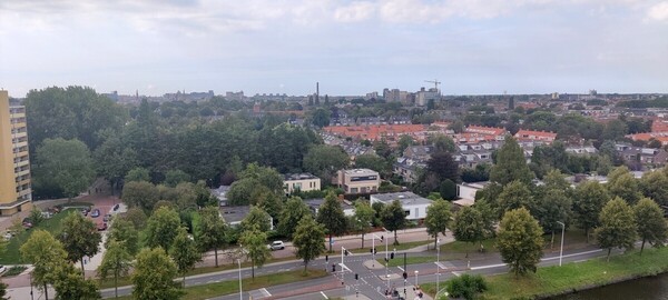 Afronding herinrichting Professorenwijk / Professorenwijk Redevelopment Completed