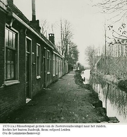 Inge Spruit - 50 jaar prettig wonen aan de rand van de Profburgwijk