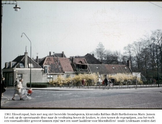 Inge Spruit - 50 jaar prettig wonen aan de rand van de Profburgwijk
