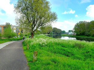 Image: Gemeente Leiden