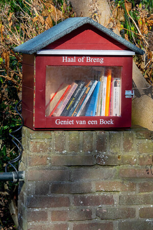 Melchior Treublaan 38 (foto Rob Oudshoorn)