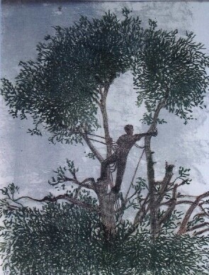 Bert en Wim van der Veer