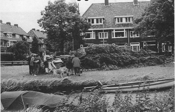 De Italiaanse Populier