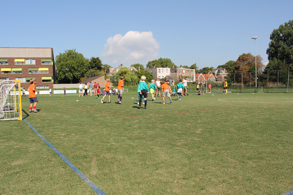 Profburgbaltoernooi 2017