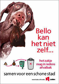 Hondenbeleid in Leiden / Dog policy in Leiden