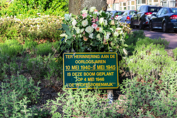 Dodenherdenking 2018: Geef de vrijheid door