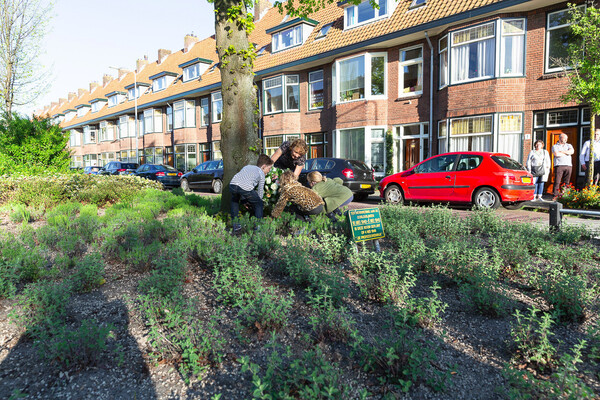Foto RobBeurseFotografie