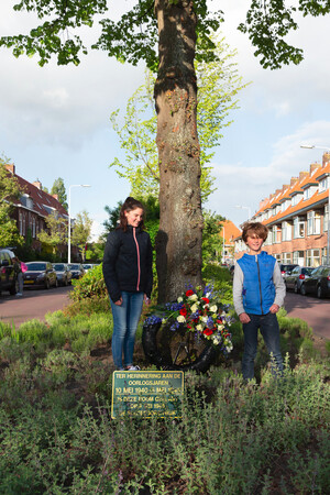 Foto: RobBeurseFotografie