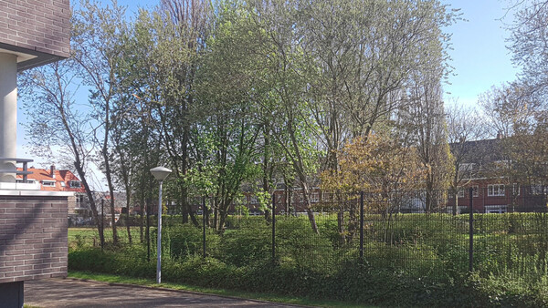 Mobile woonunits definitief naar Verdamstraat