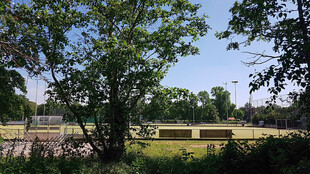 Roomburgerpark (Foto: RBF)